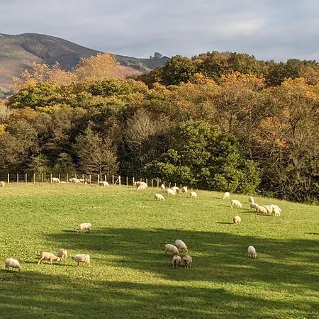 Maison Typique Basque En Pleine Campagne Holiday home *