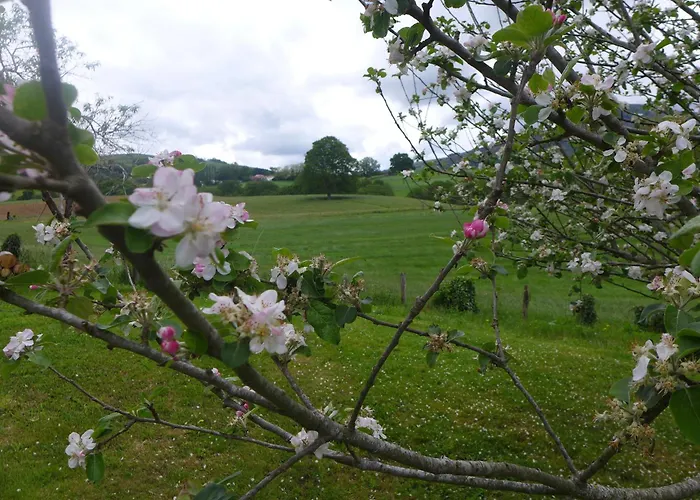 Maison Typique Basque En Pleine Campagne Prázdninový dům Saint-Pée-sur-Nivelle